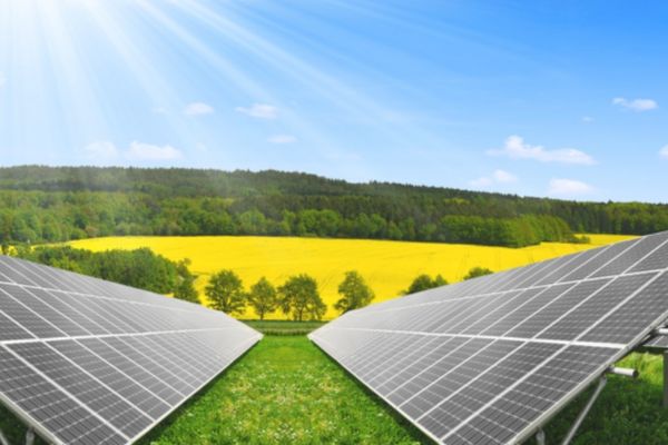 <p class="15" style="text-align: center;"><span style="mso-list: Ignore;">&nbsp;</span><!--[endif]--><span style="font-size: 14pt;"><strong>Quản l&yacute; kỹ thuật dự &aacute;n & tổng thầu giải ph&aacute;p</strong></span></p>